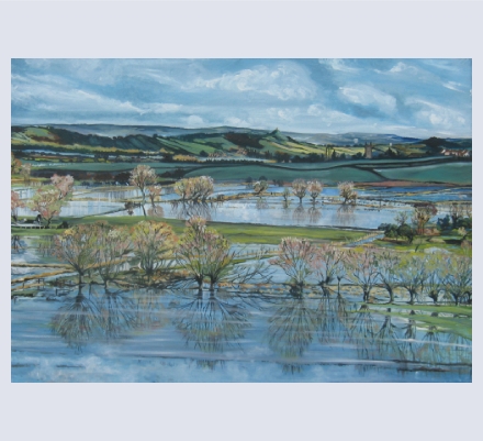 Mary Vanderplank - Artist based in Taunton, Somerset