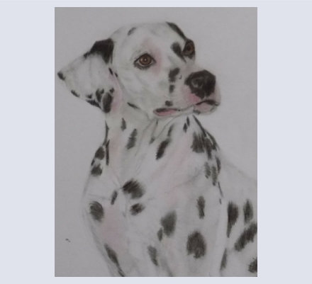 Gina Suarez Peel - Artist based in Devon