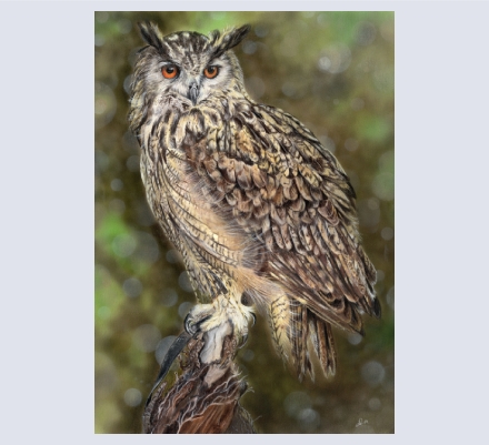 Joanne Rowland Art - Artist and Illustrator based in Consett, County Durham