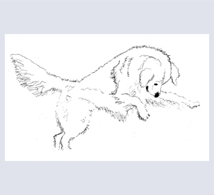 Kevin O'Neill - Artist based in Tain, Highland