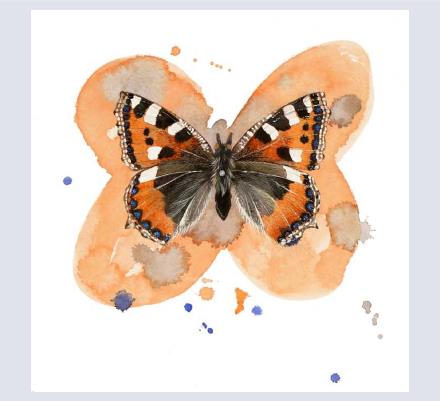 Caroline Rudge - Artist and Illustrator based in Corsham, Wiltshire