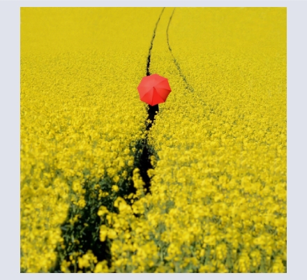 Jason Dorley-Brown - Artist and Photographer based in Bath, Somerset