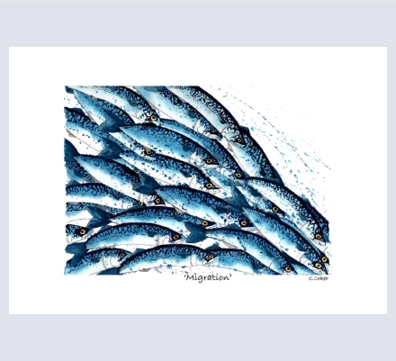 claire coker - Artist and Illustrator based in Barnstaple, Devon