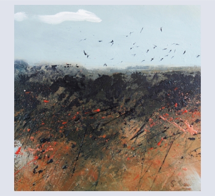 Sara Bevan - Artist based in Sennen, Penzance, Cornwall