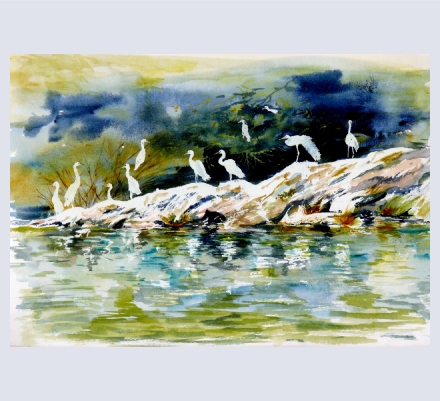 Peter Lawrence - Artist based in Pilton, Somerset