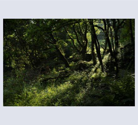 Seren Arian Crafts - Photographer based in Flint, Flintshire