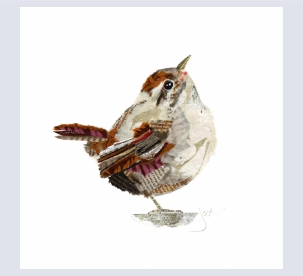 Jackie Richards - Artist and Photographer based in Oxford, Oxfordshire