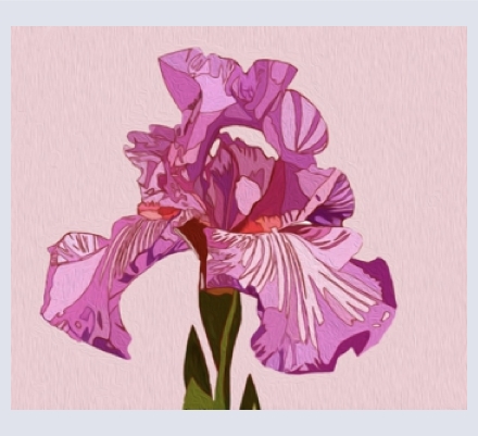 Suzanne Barratt - Artist based in Devizes, Wiltshire