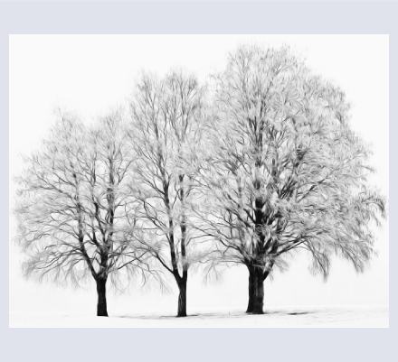 Anna Stowe - Artist and Photographer based in North Wessex Downs, Wiltshire