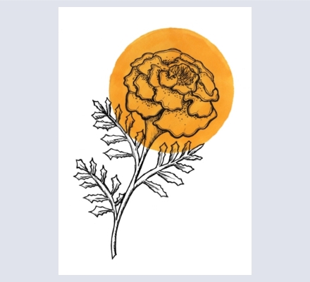 Sasha Stowe - Artist and Illustrator based in Swindon, Wiltshire