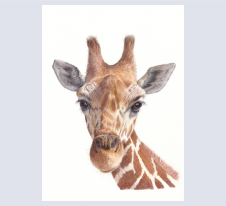 Crispin Cottage Originals - Artist based in Aston Village, Hertfordshire