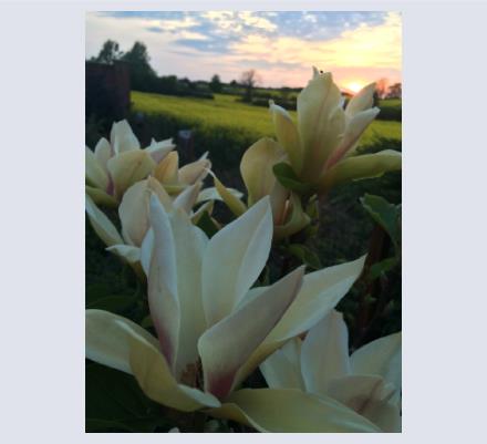 Sarah Church - Artist based in Shrivenham, Oxfordshire