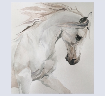 Sheila Williams - Artist based in nr chepstow, Monmouthshire