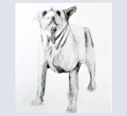 Edge of the World - Artist and Illustrator based in West Country, Somerset