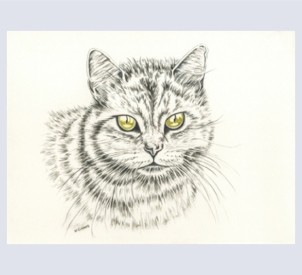 Wendy White - Artist based in Bridgwater, Somerset