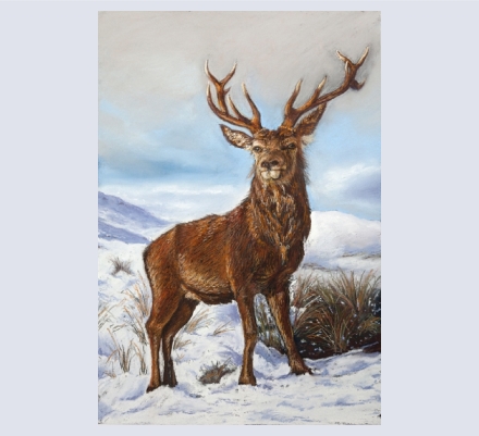 Patricia Armitage - Artist based in Pimperne, Dorset