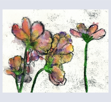 Tracy Chaney - Artist and Illustrator based in Seaton, Devon