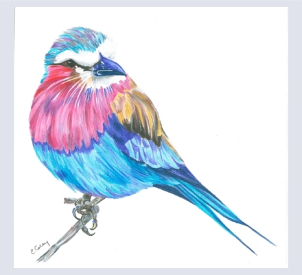 Liz Corley Art - Artist based in Carterton, Oxfordshire