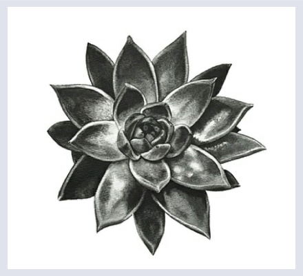 Olga Paparega - Artist based in Kidderminster, Worcestershire