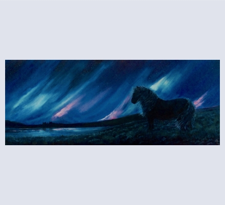 Wild About Art - Artist and Illustrator based in Bridge End, Shetland