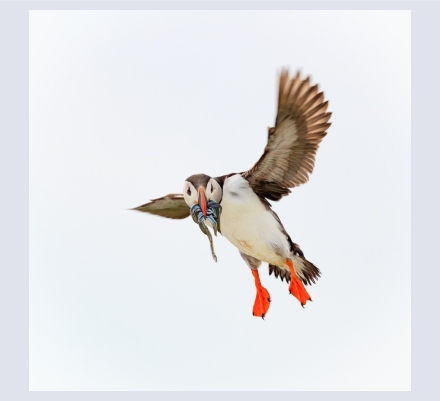 Barry Carter - Photographer based in Killinghall, North Yorkshire