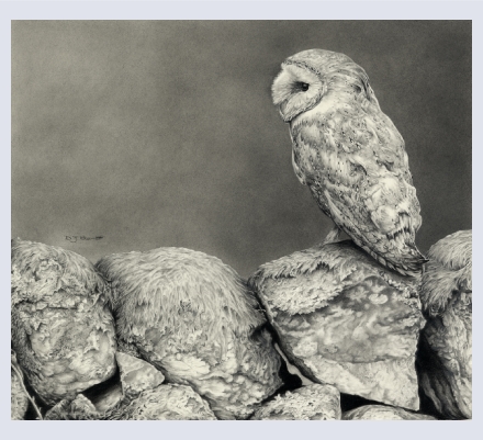 Debbie Blount - Artist based in Marlborough, Wiltshire