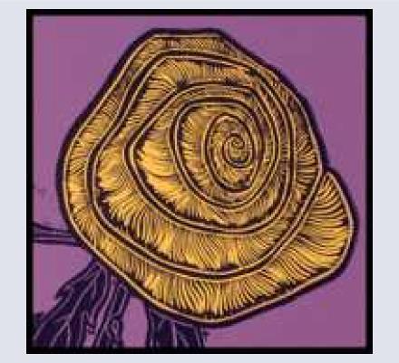 Yellow Rose Design - Artist based in Cirencester, Gloucestershire
