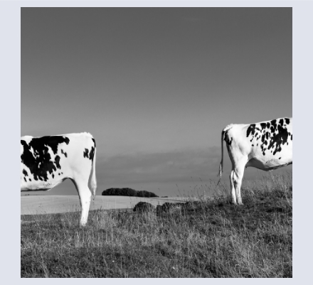 Richard  Draper - Photographer based in Avebury, Wiltshire