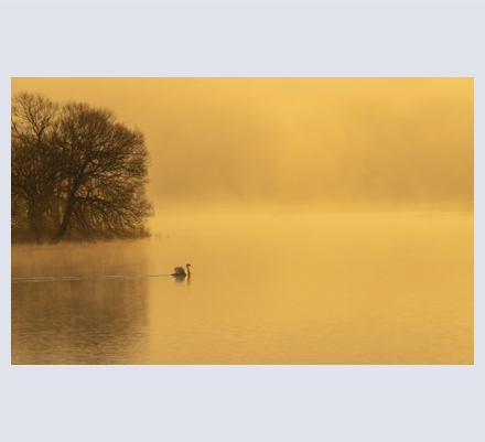 Lucy  Masters - Photographer based in Chew Valley, Somerset