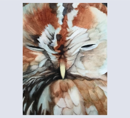Rachel Hilton - Artist and Illustrator based in Ledbury, Herefordshire