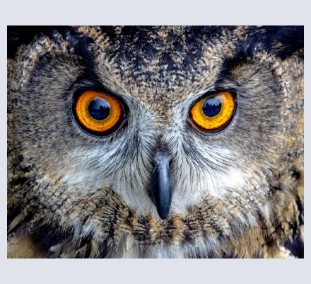 Chris Pointer - Artist based in Bude, Cornwall