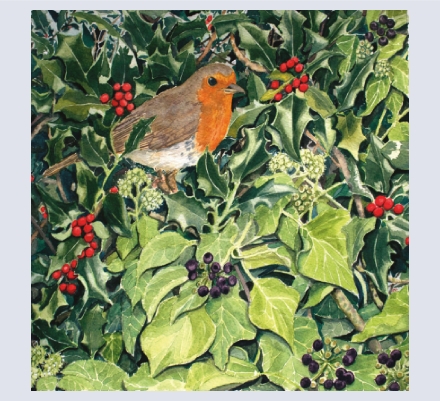 Alex Pointer - Artist and Illustrator based in Bude, Cornwall