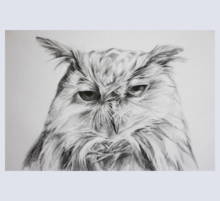 Laura Hartfield Art - Artist and Photographer based in Tring, Hertfordshire
