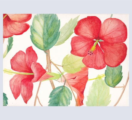 Christine  Walker - Artist based in Brighton, East Sussex