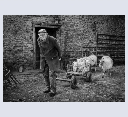 Pauline Rook Photography - Photographer based in South Petherton, Somerset