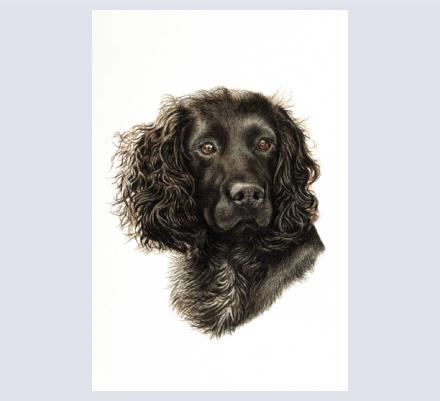 Pip Falkner-Lee - Artist and Illustrator based in Bath, Somerset