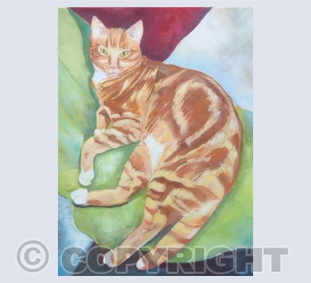 Beloved ginger cat
