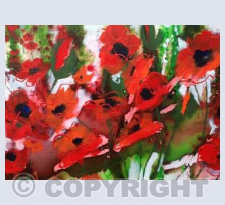 Summer Poppies