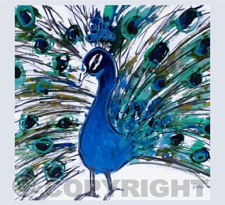 Peacock