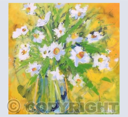 Narcissus