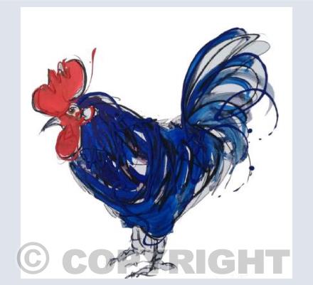 COCK-A-BLUE