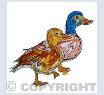 DUO