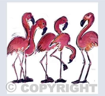 Flamingos