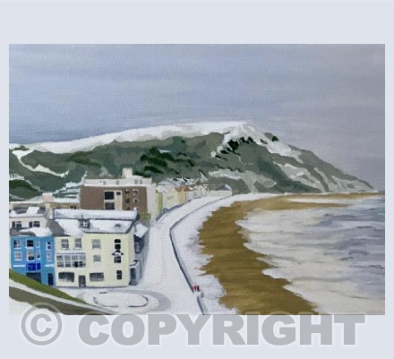 Beast from the East! Seaton