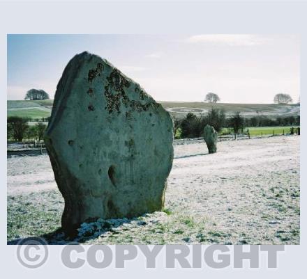 Avebury Crop Circle