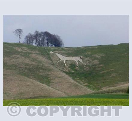 Cherhill White Horse