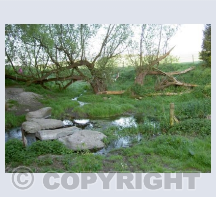 Swallowhead Springs