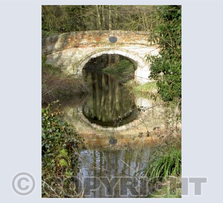 Bridge