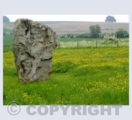 Avebury Avenue