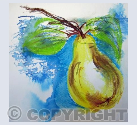 Summer pear